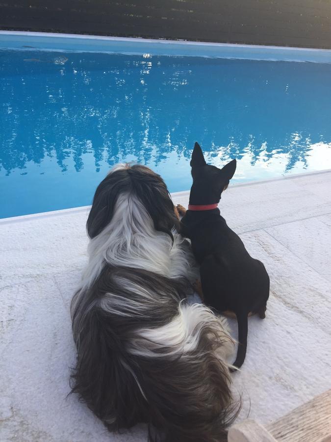 Villa Glyfada Spilia  Zewnętrze zdjęcie